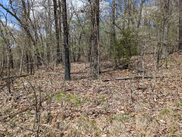 Lots of trees at 4.9 acre tract for sale