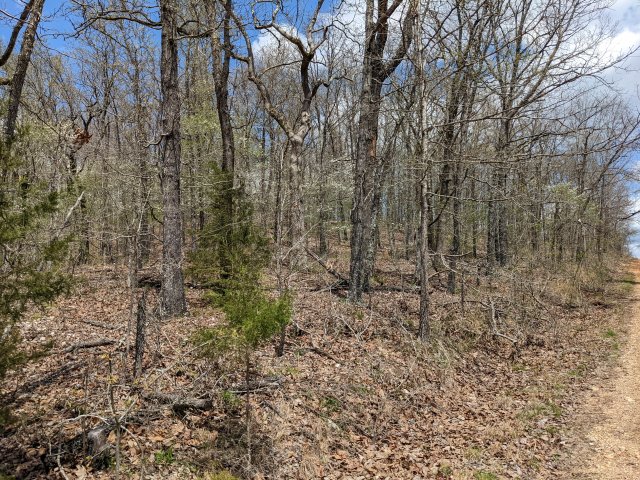 Peace and quiet at 4.9 acre tract for sale